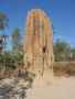 Huge termite mound